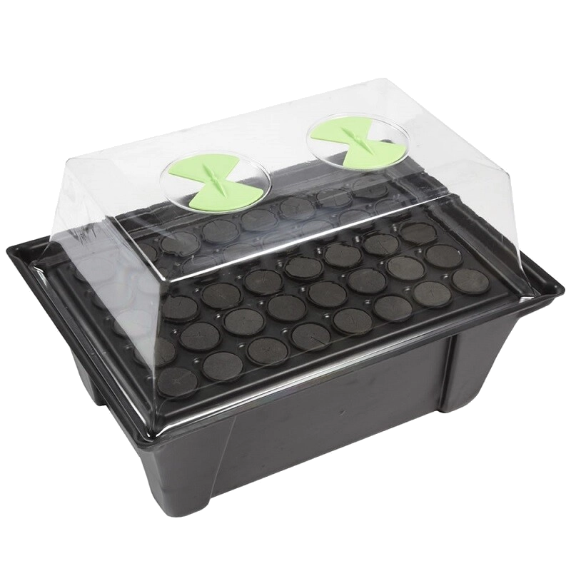 X-Stream Propagator
