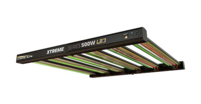 DimLux - DimLux Xtreme Series LED 500W 