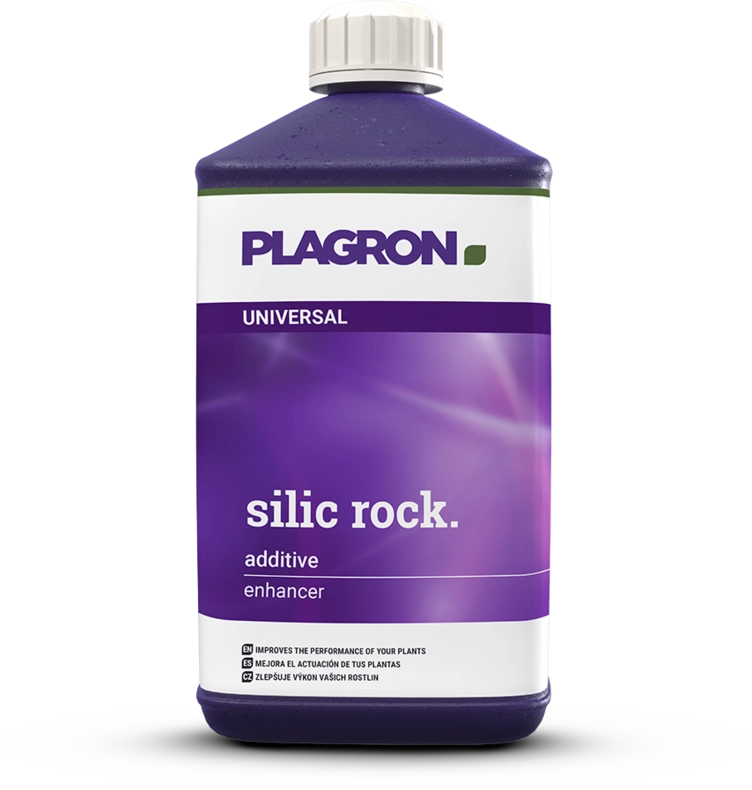 Plagron Silic Rock