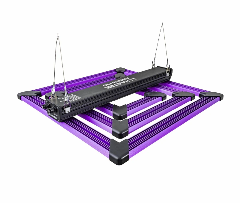 Home Grow Set 80x80x2200cm mit Lumatek ATS Pro LED Home Grow Set 80x80x2200cm mit Lumatek ATS Pro LED