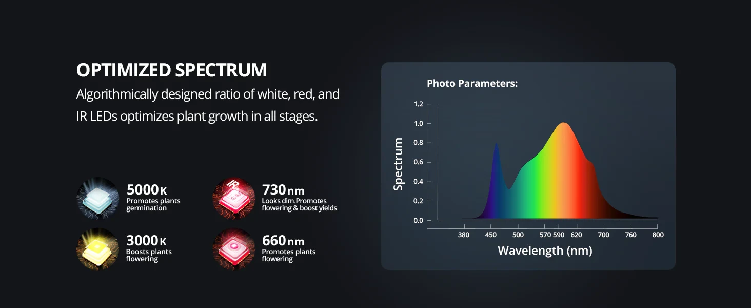 Home Grow Set 120x120x200cm mit ViparSpectra LED