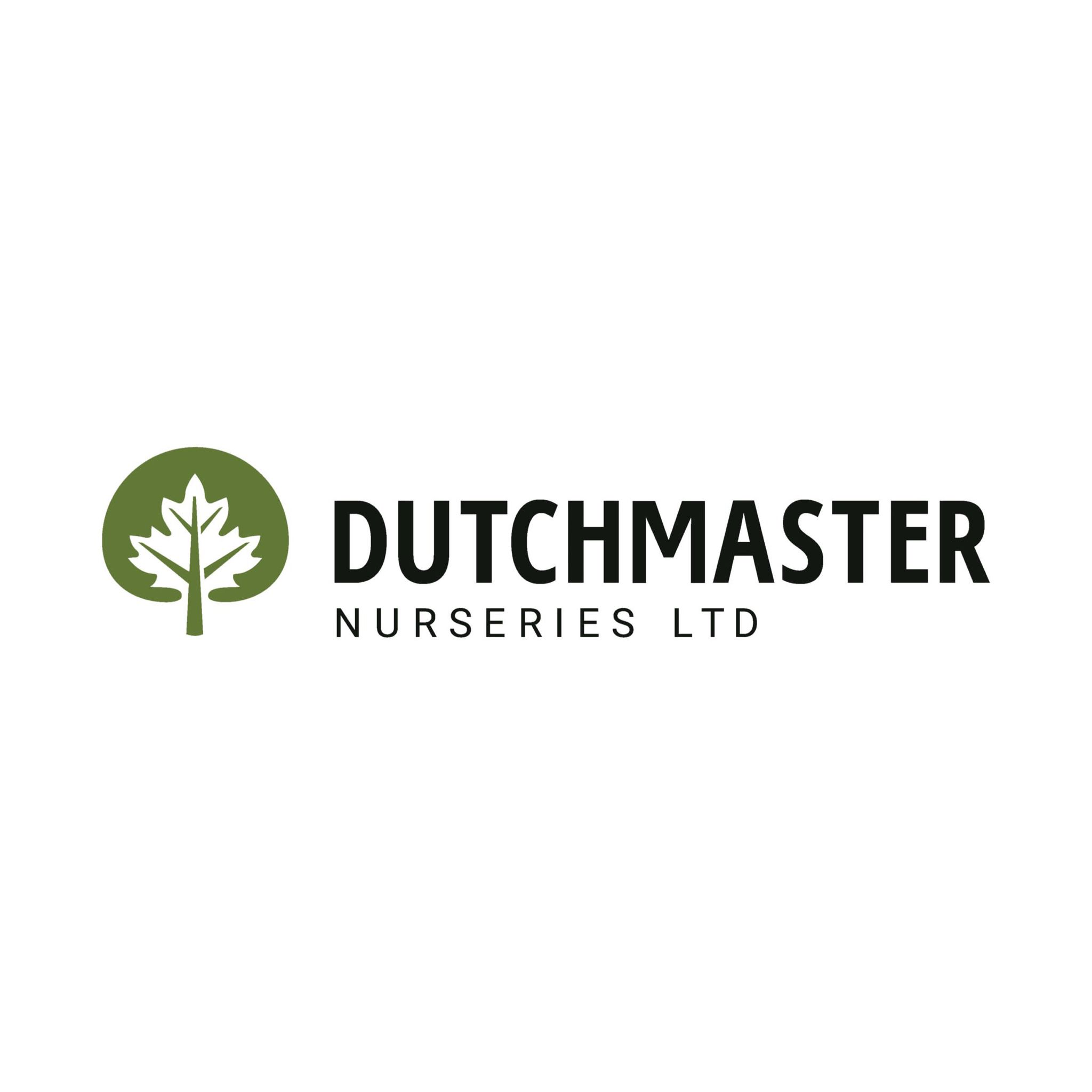 Dutchmaster