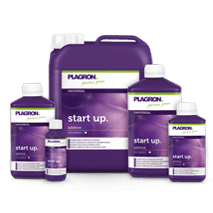 Plagron Start Up