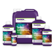 Plagron Green Sensation