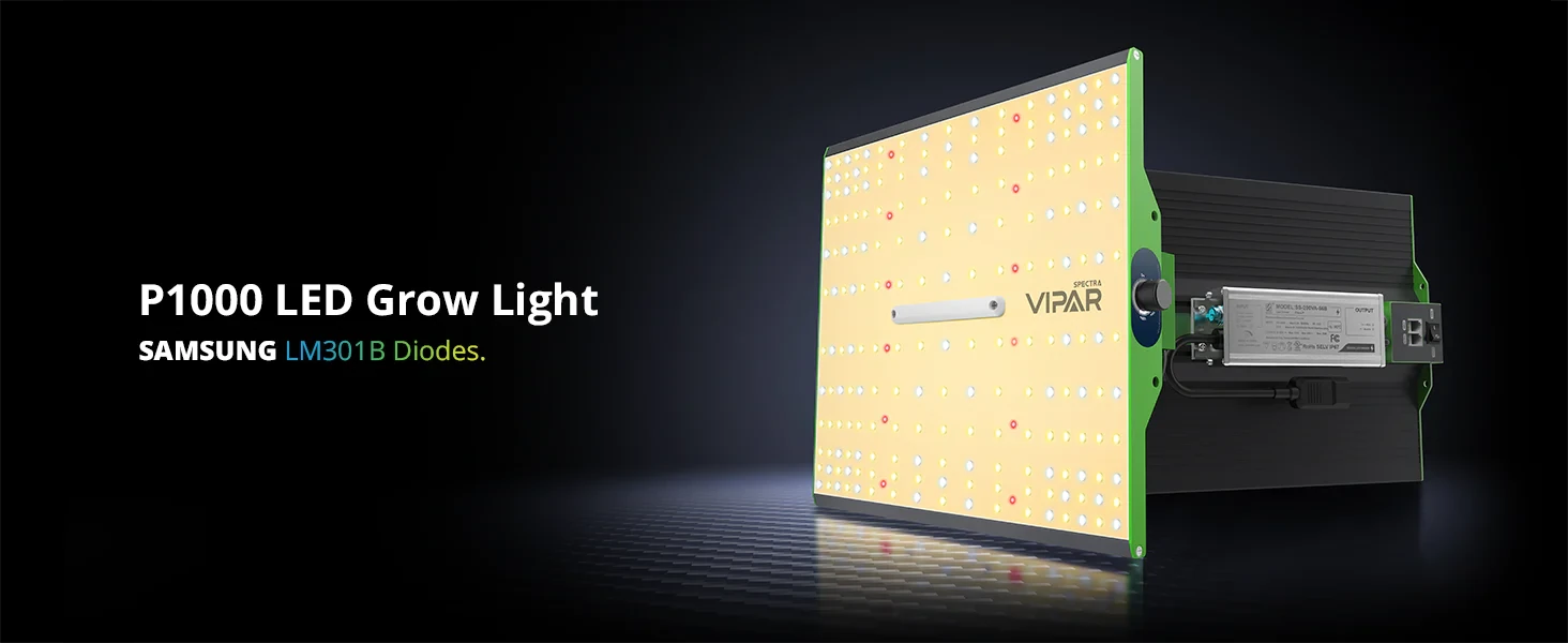 Home Grow Set 120x120x200cm mit ViparSpectra LED