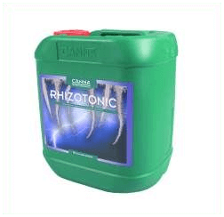 Canna Rhizotonic