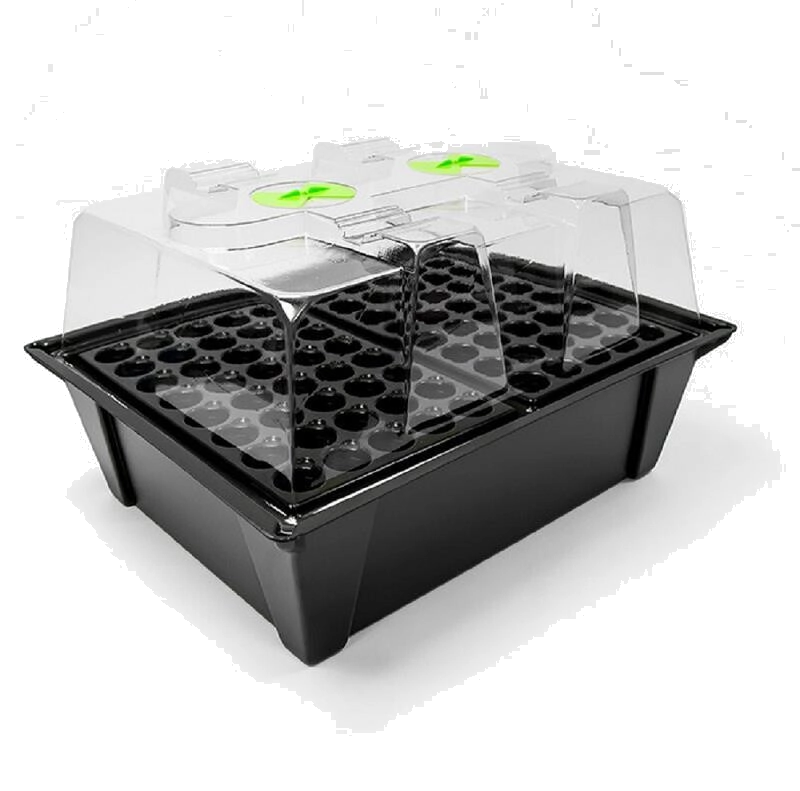 X-Stream Propagator
