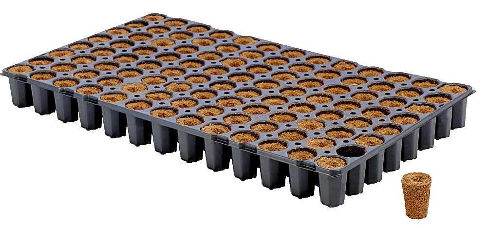 Eazy Plug Anzuchtplugs