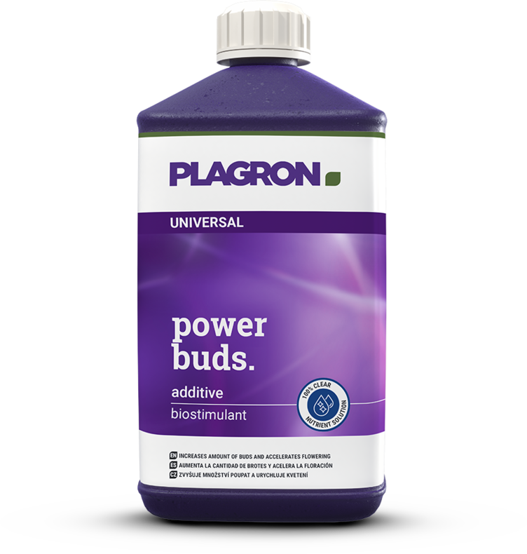 Plagron Power Buds