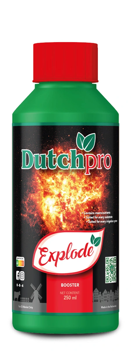 Dutchpro Explode 250ml