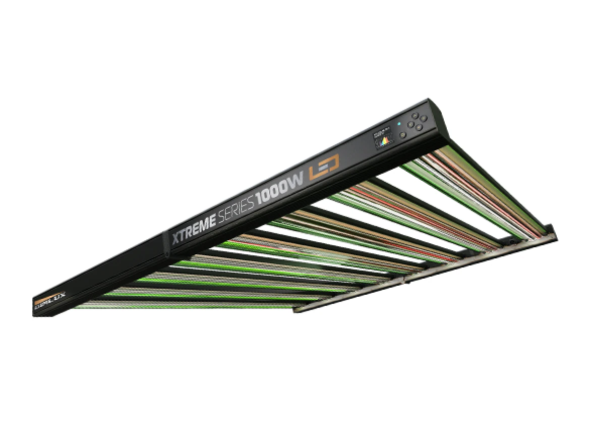DimLux - DimLux Xtreme Series LED 1000W