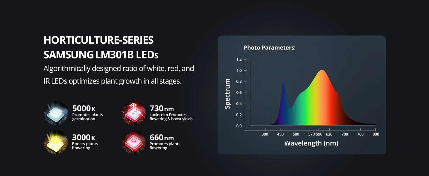 Home Grow Set 120x120x200cm mit ViparSpectra LED