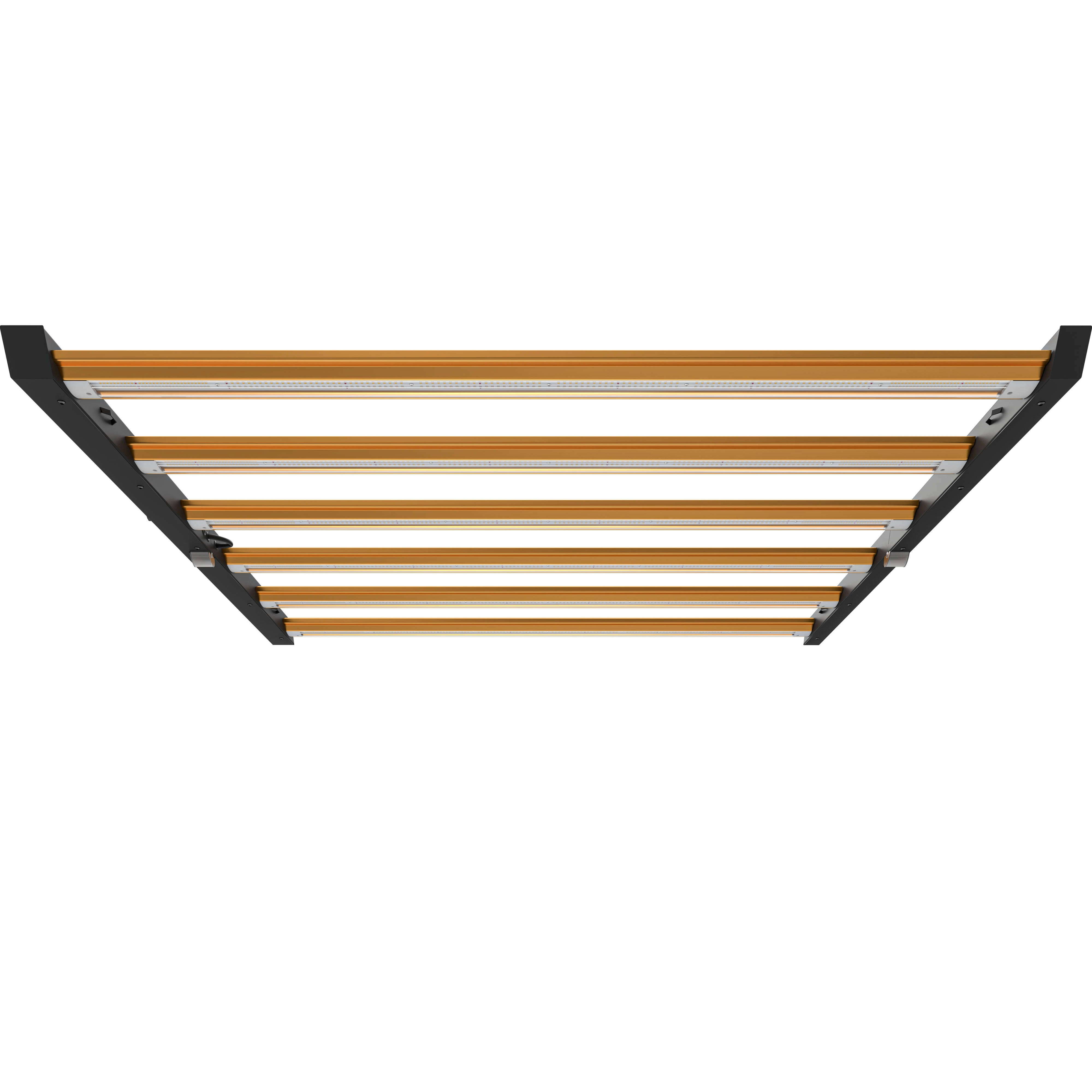 DimLux Xplore Series 730W 2.7μmol