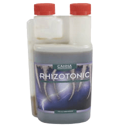 Canna Rhizotonic