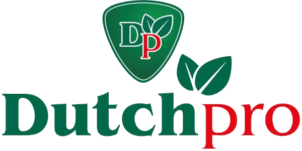 Dutch Pro